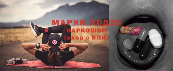 ГАЛЛЮЦИНОГЕННЫЕ ГРИБЫ Арсеньев