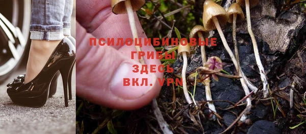ГАЛЛЮЦИНОГЕННЫЕ ГРИБЫ Арсеньев