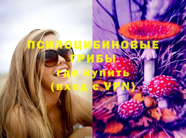 прущая мука Няндома