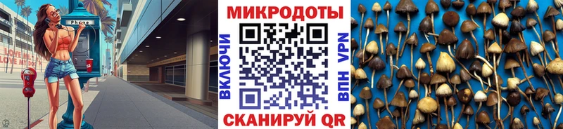 Псилоцибиновые грибы MAGIC MUSHROOMS  даркнет Telegram  Чаплыгин 